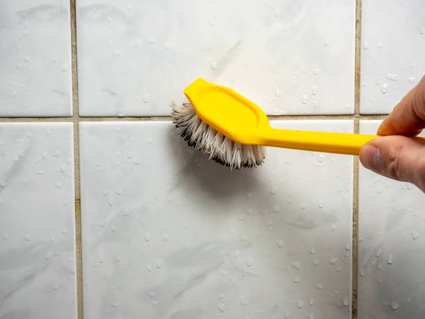 Best Toxic Mold Removal  in Plainwell, MI