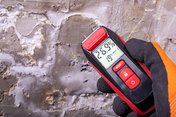 Best Water Damage Restoration  in Plainwell, MI