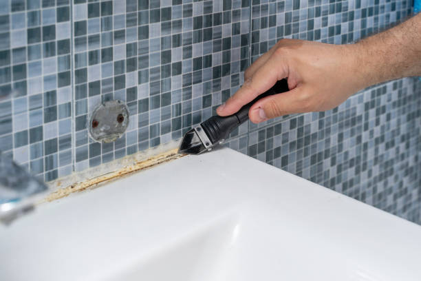 Best Mold Testing  in Plainwell, MI